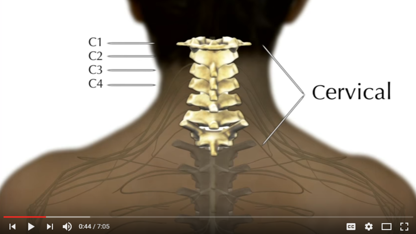 Cervical Spinal Cord Injury Prognosis And Recovery At Shepherd Center